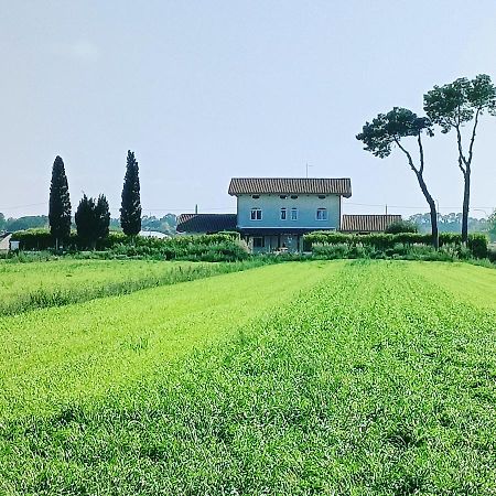La Ricarda Dimora Di Campagna Bed & Breakfast Paestum Exterior photo