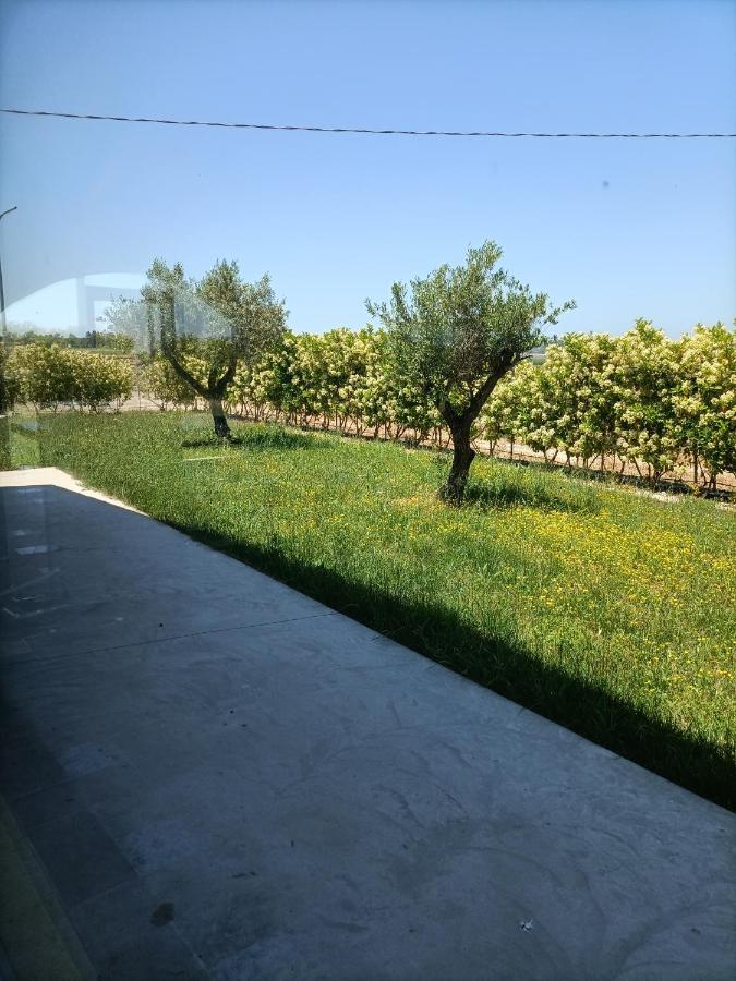La Ricarda Dimora Di Campagna Bed & Breakfast Paestum Exterior photo