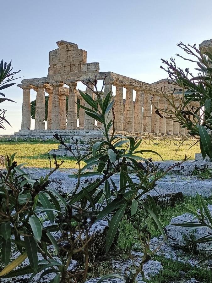 La Ricarda Dimora Di Campagna Bed & Breakfast Paestum Exterior photo