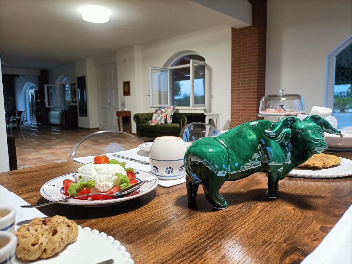 La Ricarda Dimora Di Campagna Bed & Breakfast Paestum Exterior photo